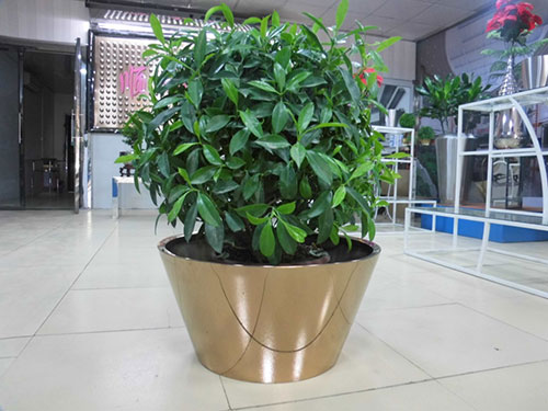 廣東汕頭不銹鋼花盆哪家做的好？